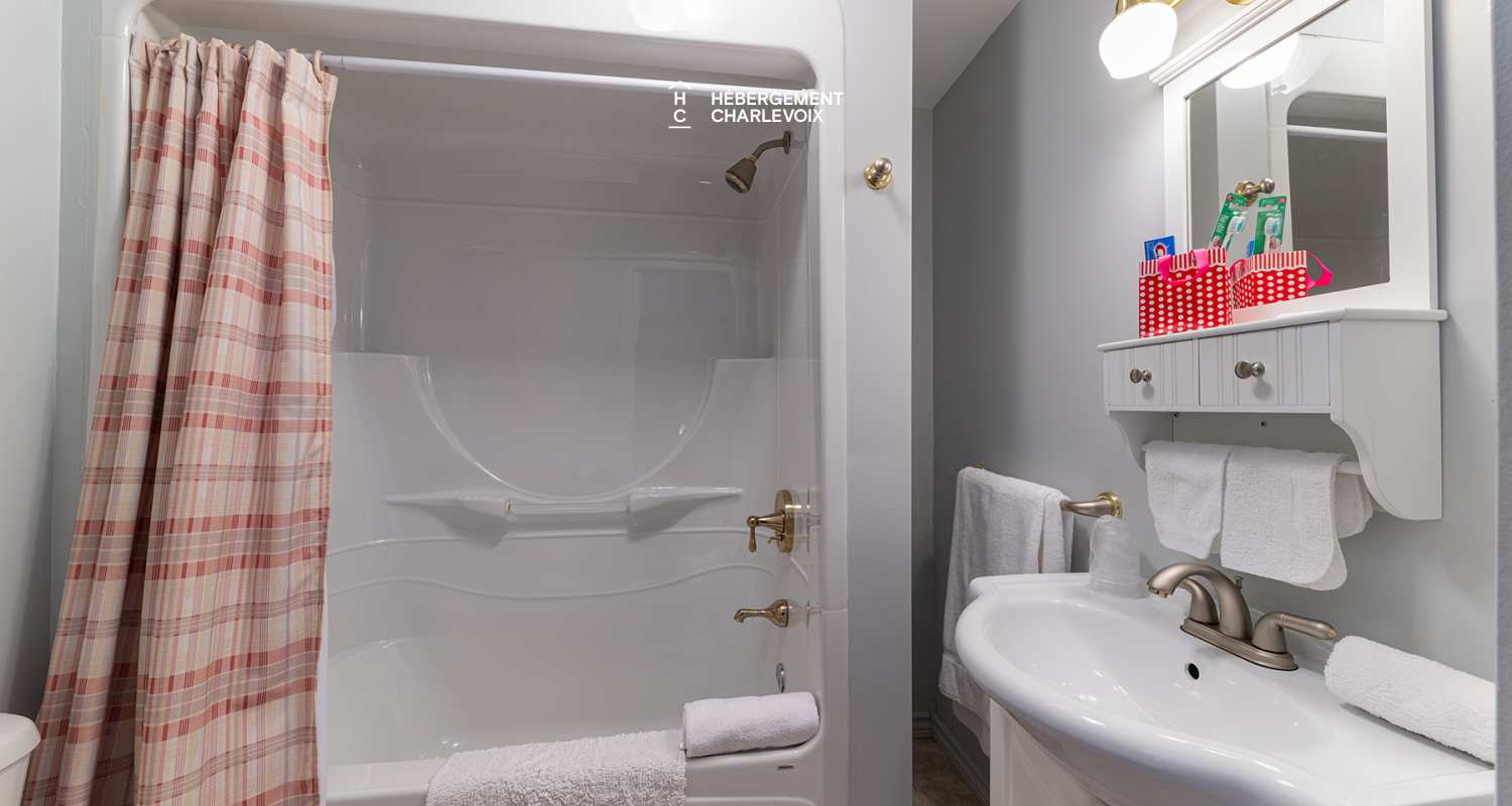 LOG-911 - In the heart of the village